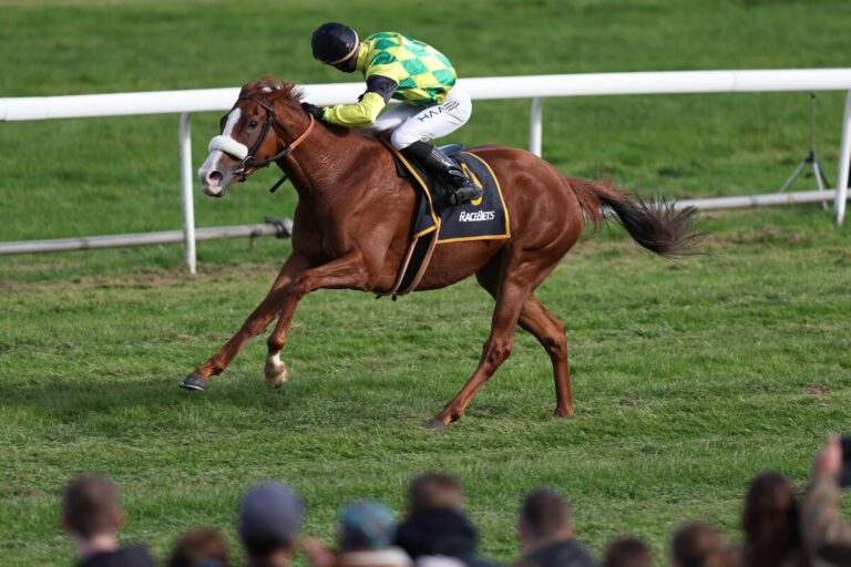 Favoriten gesucht: Offenes 3000 Meter-Gruppe-Rennen in der Domstadt