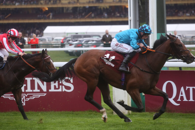 Top-Sprinter Bradsell wird Deckhengst im National Stud