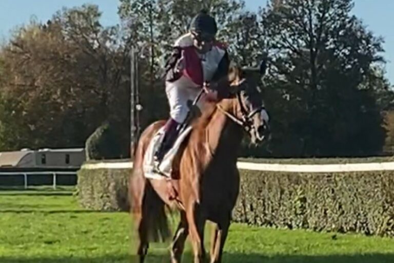 Wieder ein Rohne-Sieg bei den Zweijährigen