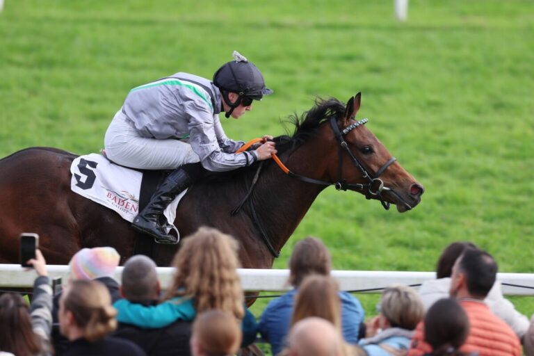 Nicoreni siegt unter Sibylle Vogt im Carla Kellner Zukunftsrennen - Preis der Winterkönigin