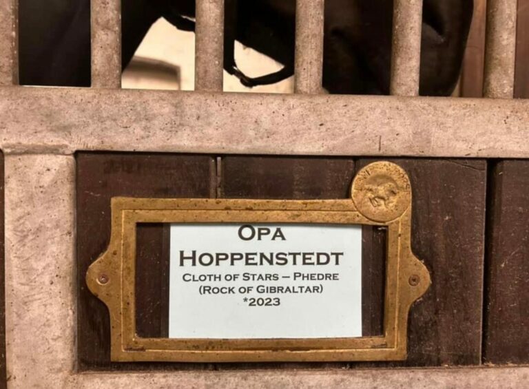 Sundermann im Loriot-Rausch: Aus Lazar wird Opa Hoppenstedt