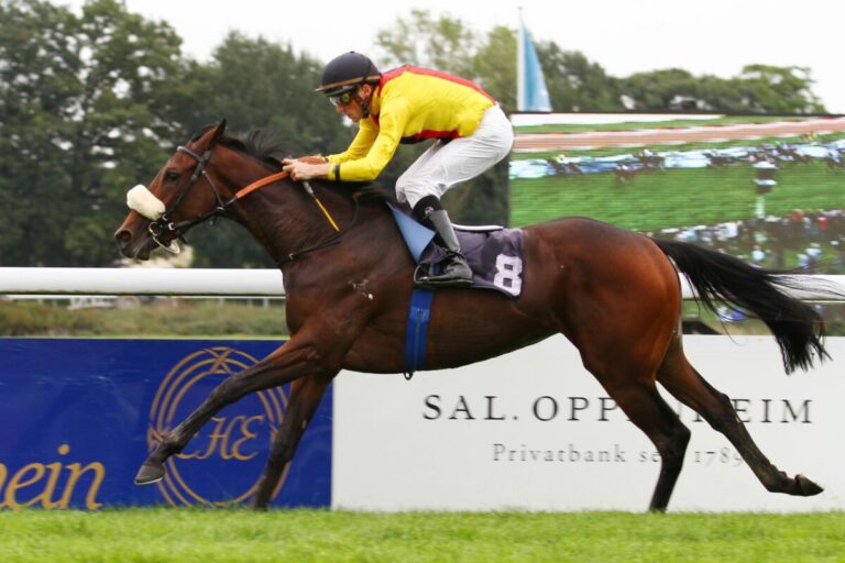 1,6 Millionen – Godolphin kauft Jährlingsstute aus Auenqueller Mutter