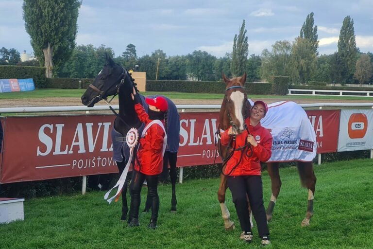 Wahnsinn! Nach 6900 Metern totes Rennen in der Velka Pardubicka