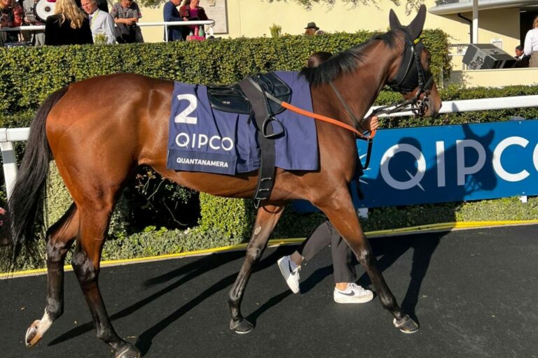 Quantanamera Achte in Ascot – Das sagt Trainer Andreas Suborics