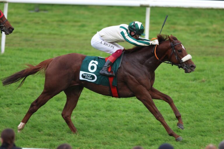 Saldarion der zweite Tagestreffer für Richter und Ricupa