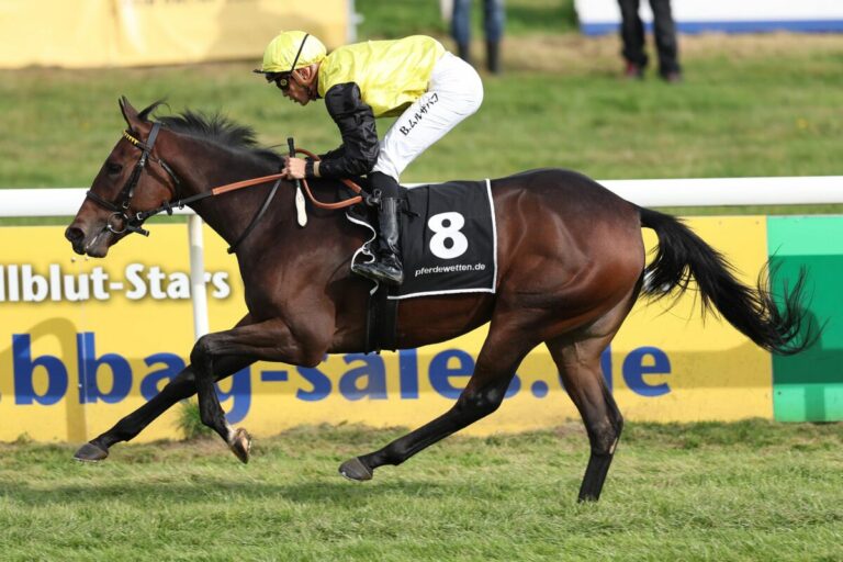 Fährhofs Zweijährige marschieren: 160.000-Kauf Santara imponiert