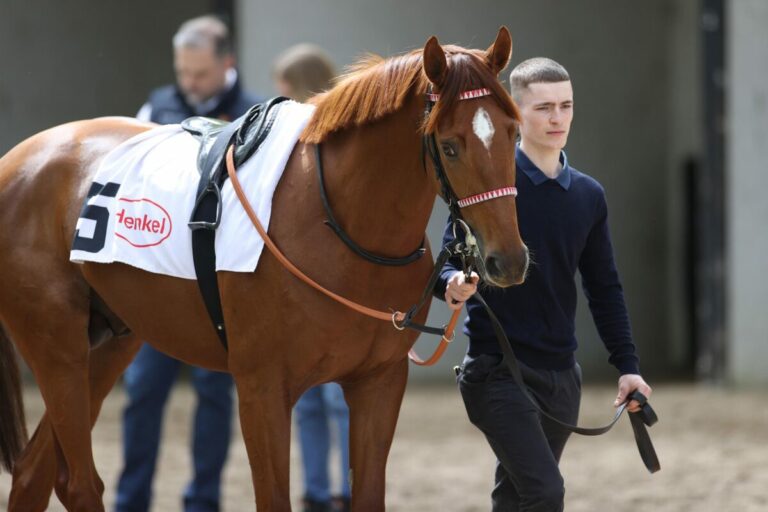 Zwei Ex-Mülheimer im Schweizer St. Leger