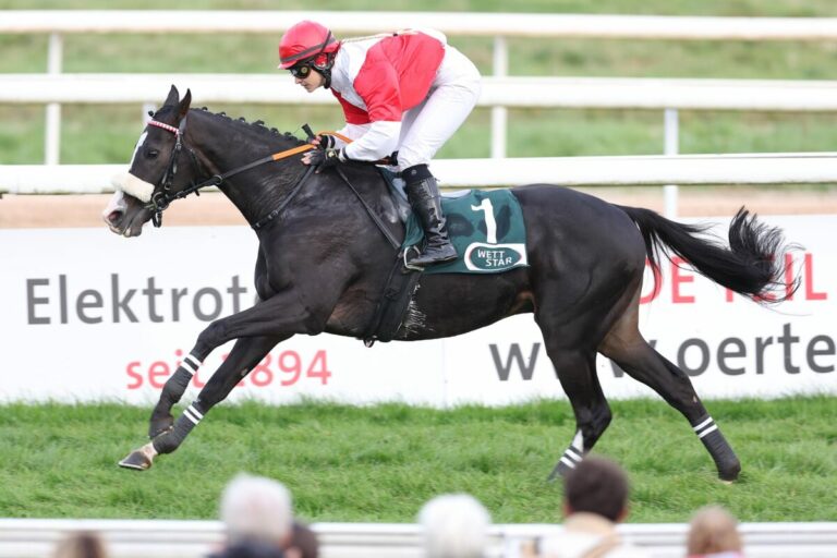 Sovereign State punktet gleich für neue Farben