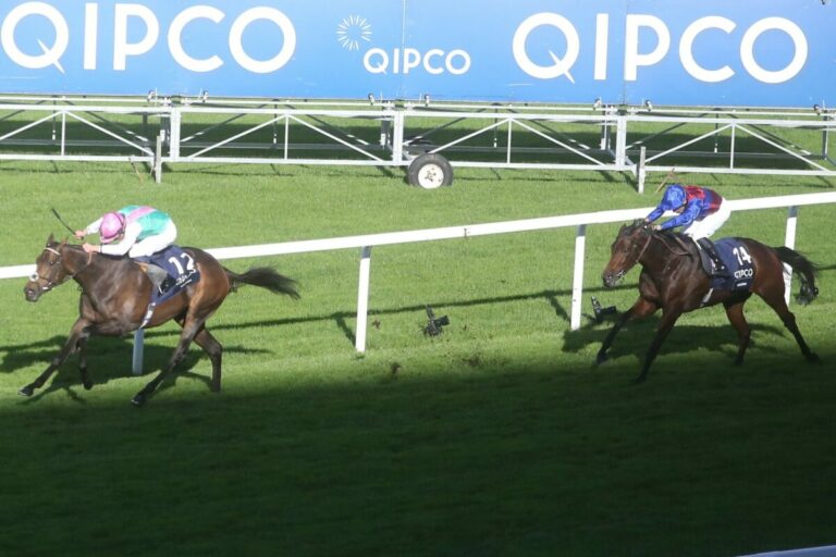 Juddmonte setzt weiter auf Kalpana – Stute bleibt in Training