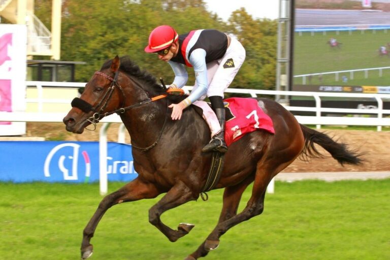 Das Klassefeld im Allianz Grosser Preis von Bayern