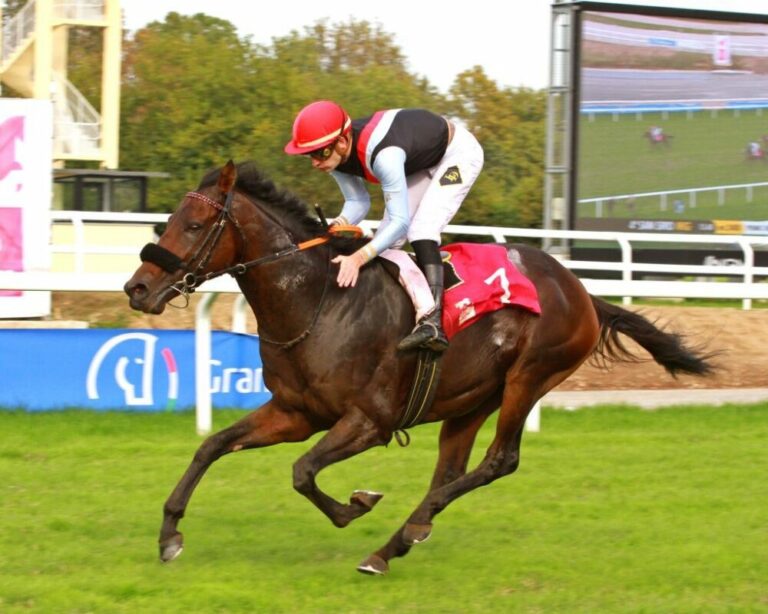 Straight zu Grewe: „Wir wissen, dass er zwei Gesichter hat“