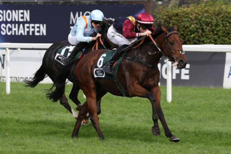 Außenseiter Tarkhan gewinnt Münchner Herbst-Preis