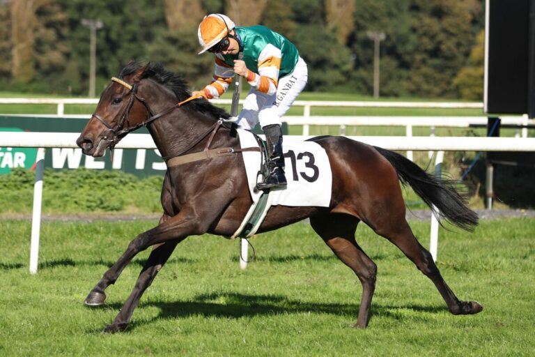 Valerina überlegen im Auktionsrennen der Stuten