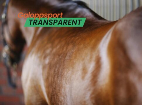 galoppsport-transparent