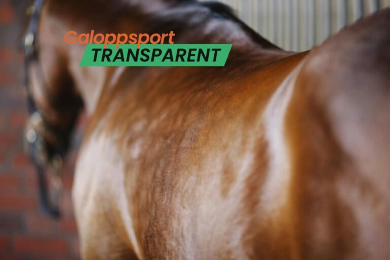 Galoppsport-Transparent.de: Faktencheck zu Kritik-Punkten im Galopprennsport