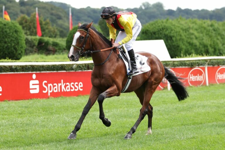 Kölner Youngster-Rennen: Quantitativ und qualitativ top besetzt