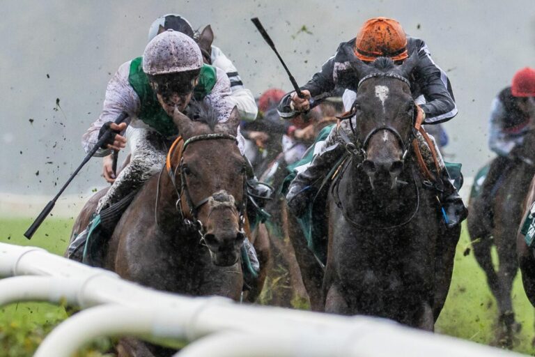 Sport-Welt TV Wett-Check – Siegtipps für Hoppegarten heute