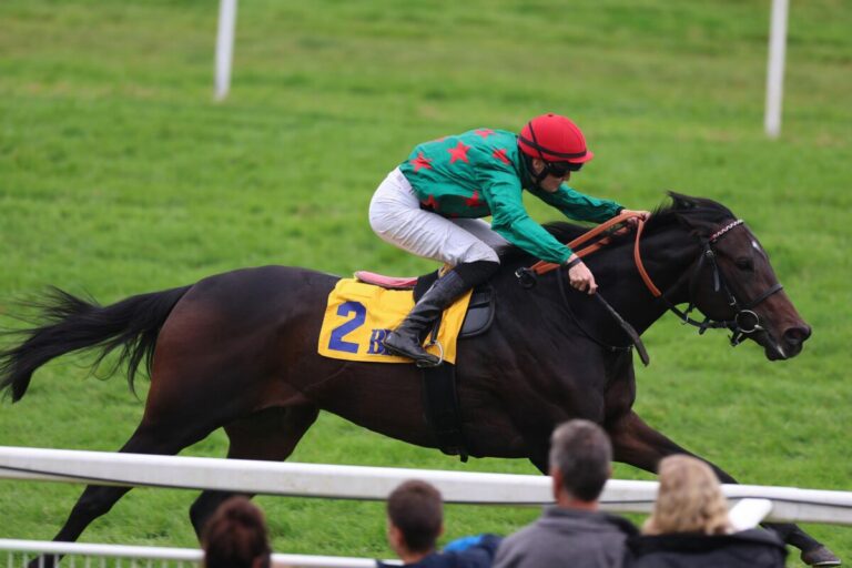 Schiergen-Einlauf im Ferdinand Leisten-Memorial – Square Carnot vor Dhitjari