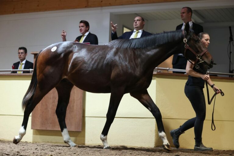 „Riesling-Premiere“ in Köln: Danach Siegerweinchen im Biergarten?