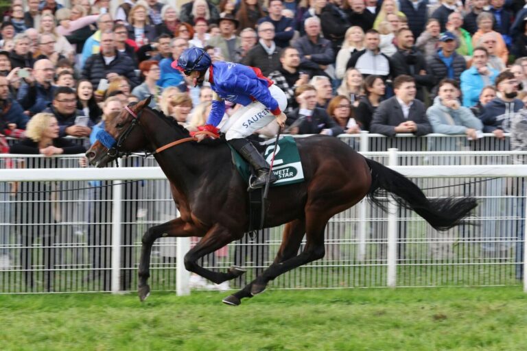 Ab 2025 Deckhengst in Röttgen: Assistent kehrt nach Hause zurück!