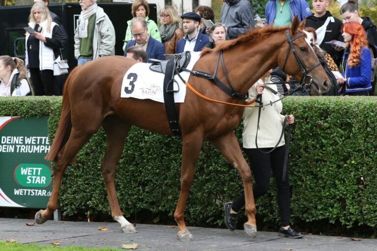 Trainerwechsel: Goldaue nicht mehr bei Marcel Weiß