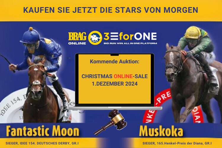 BBAG Christmas Online Sale 2024: Start heute um 12.00 Uhr