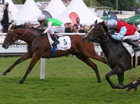 Borna wird Zweiter im Deutschen Derby