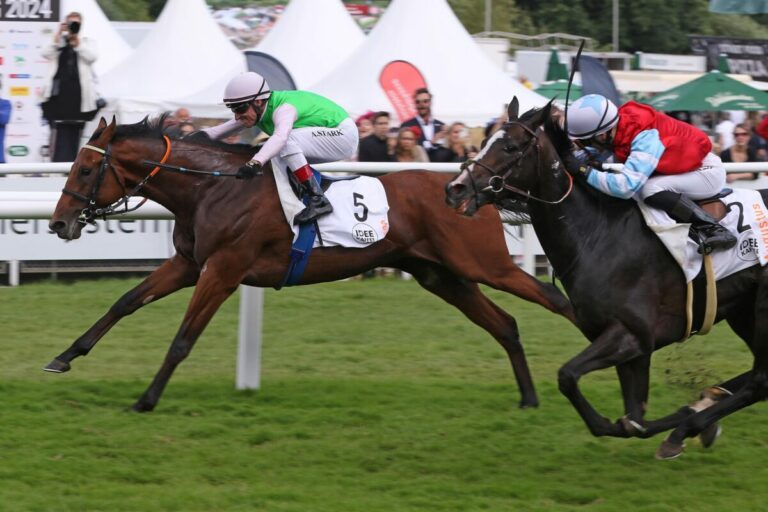 Derby-Zweiter Borna zurück im Klug-Rennstall – Winterkampagne geplant