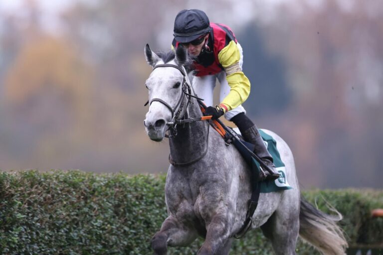 Beim 21. Start: „Gamble“ Darling Jay siegt beim deutschen Handicapdebüt