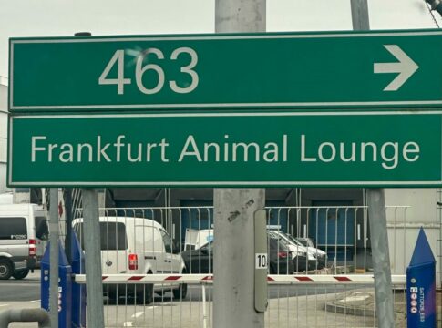 Fantastic Moon entspannt in Animal Lounge - 21.00 Uhr geht der Flieger