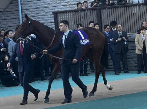 Goliath im Führring von Tokio Foto: Hemke