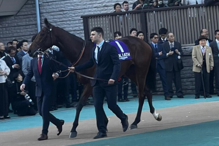 Goliath im Führring von Tokio Foto: Hemke