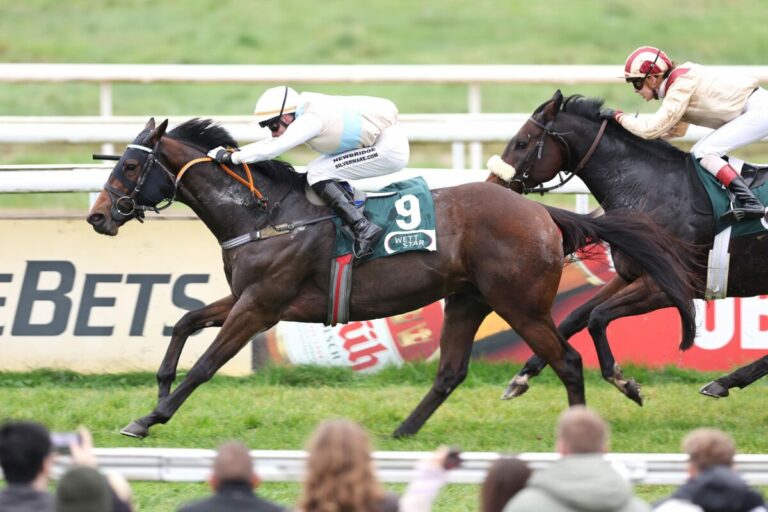 Havana Spirit (Archiv)