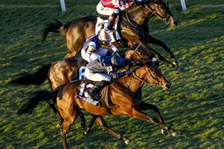 Henri Matisse ist O’Briens 20. Breeders‘ Cup-Sieger