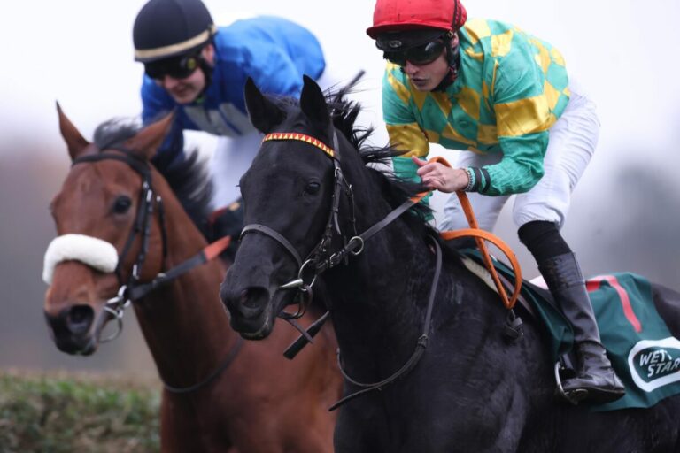 Nightdance Giulia als Favoritin zum ersten Sieg