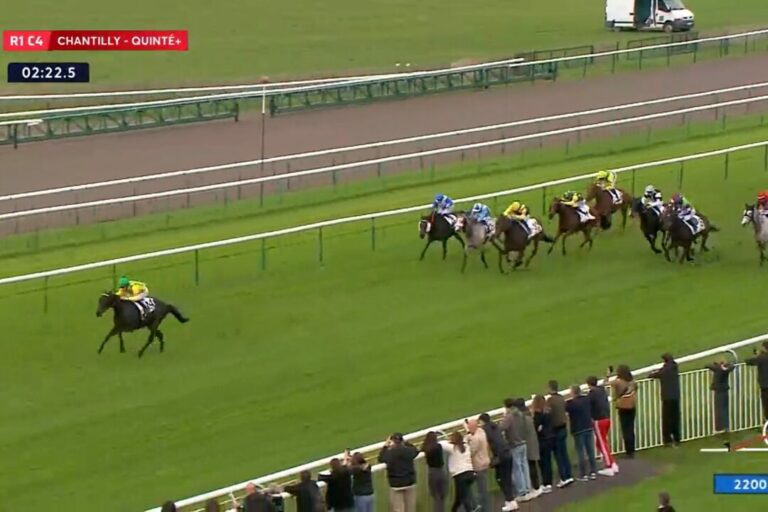 Wildcard für Pleaseman – Whitfield-Wallach kommende Woche bei Arqana