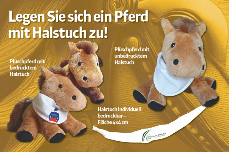 Erste Auflage verkauft, schon nachbestellt: Das individuelle Plüschpferd