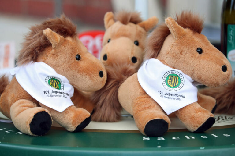 Die Sport-Welt Plüschpferde als Ehrenpreise in Dresden