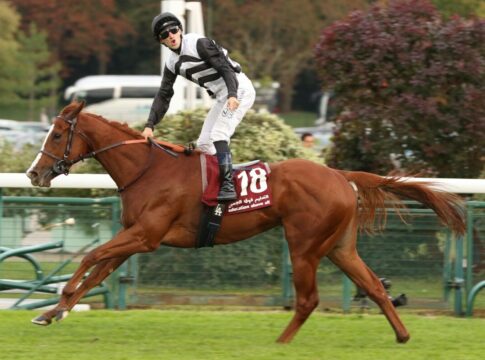 Ramatuelle siegt unter Aurelien Lemaitre im Qatar Prix de la Foret