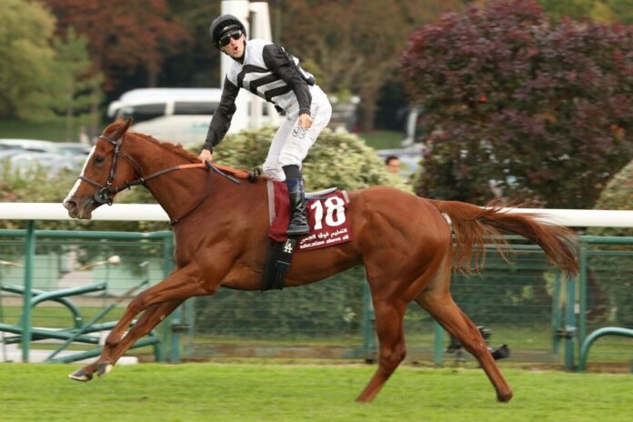 Ramatuelle siegt unter Aurelien Lemaitre im Qatar Prix de la Foret