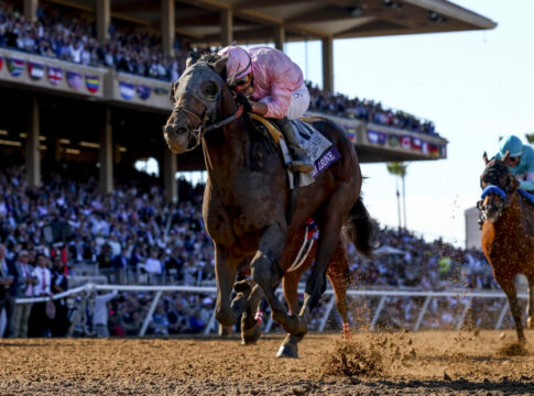 Sierra Leone (Alex Evers/Eclipse Sportswire/Breeders Cup)