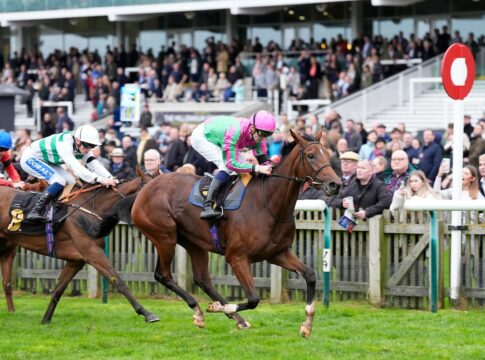 Smoken siegt unter Hector Crouch in den British EBF Montrose Fillies' Stakes 2024 Foto: Hoycubed Photography