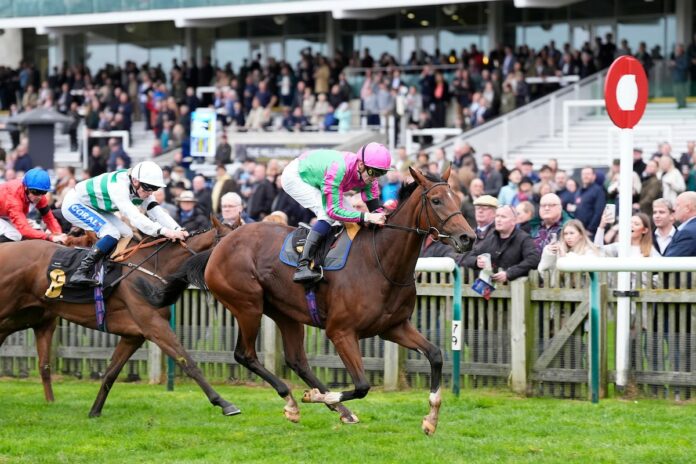 Smoken siegt unter Hector Crouch in den British EBF Montrose Fillies' Stakes 2024 Foto: Hoycubed Photography