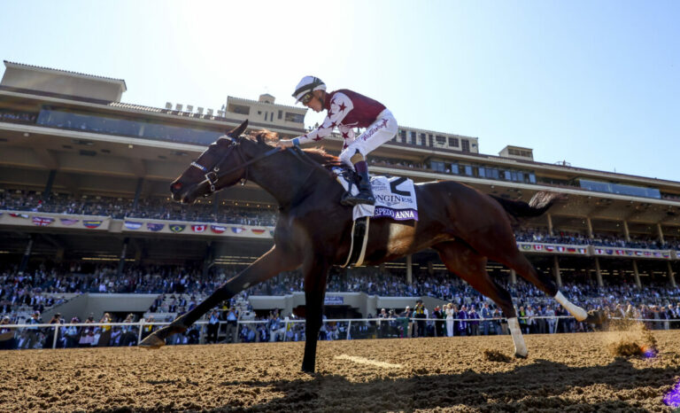 Thorpedo Anna (Foto: Alex Evers/Eclipse Sportswire/Breeders Cup)
