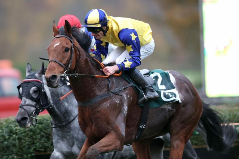 Valentino Dancer letzter Krefelder Sieger 2024