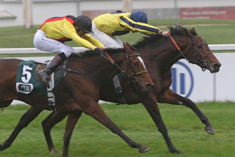 Schiergens Wonder Boy am Sonntag in Pisa auf Listenebene