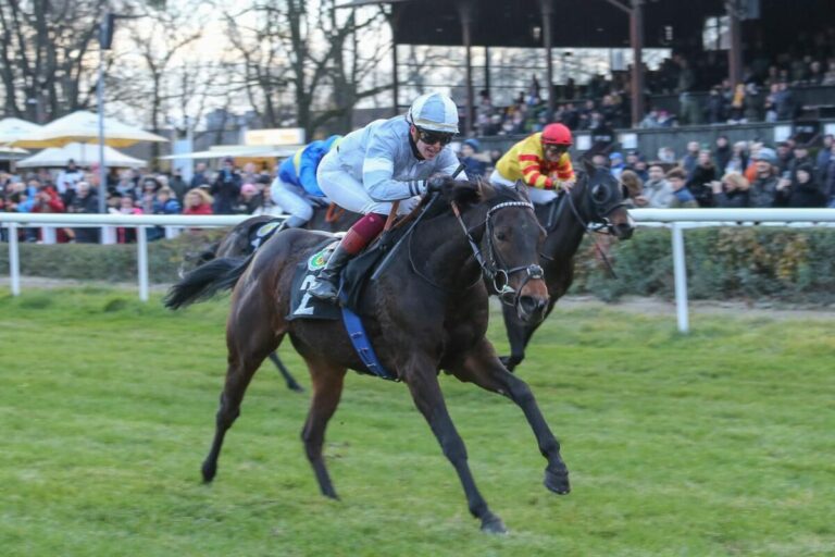 Riesenbesuch trotz Kälte – Mehr als 10.000 Zuschauer in Dresden