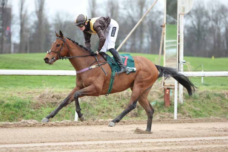 Auf Sand im Element – Artistic Mission mit erstem Sieg