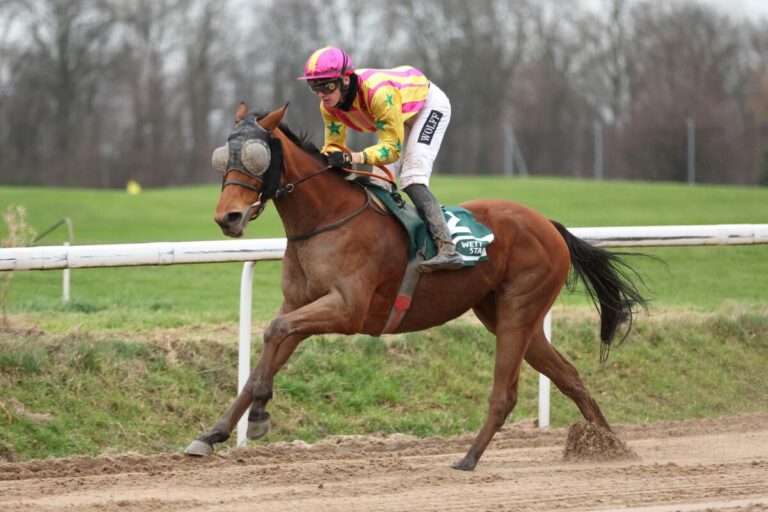 Ciyounesse beschert Smrczek und Wolff einen Doppeltreffer