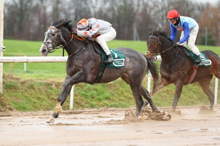 Ricupa fährt auf Dressman 22. Saisonsieg ein